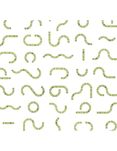 Super kamuoliukų trąsa 