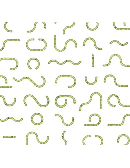 Super kamuoliukų trąsa 