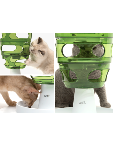 Food maze, maisto labirintas