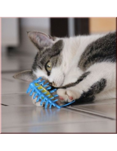 Tarakonas - terminatorius 