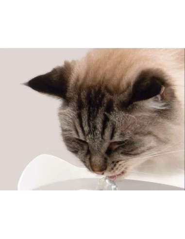 Automatinė gertuvė Catit PIXI su plieniniu viršumi