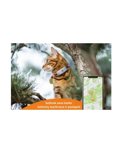 Katės GPS sekiklis Weenect XS
