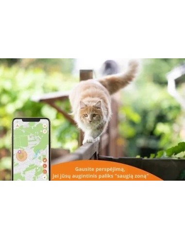 Katės GPS sekiklis Weenect XS