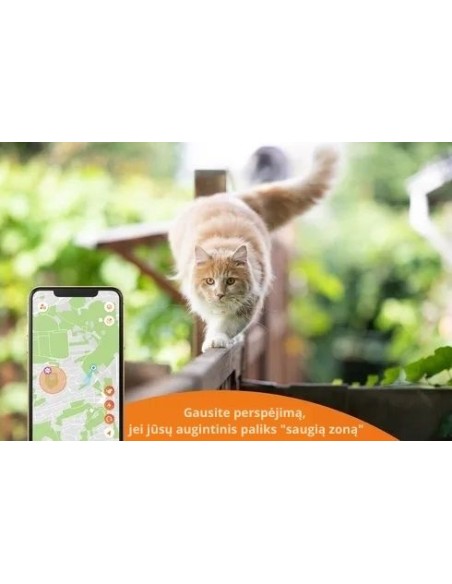 Katės GPS sekiklis Weenect XS