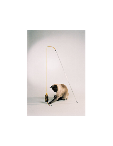 Peliukas ant virvutės su koteliu.