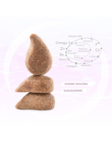 OPTIMEAL Beauty Harmony holistinis maistas katėms, su jūrinio maisto formule, raminančio poveikio 1.5 kg