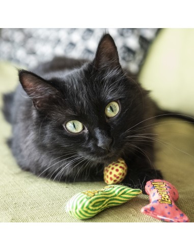 Katžolės žaislas katėms žuvytė