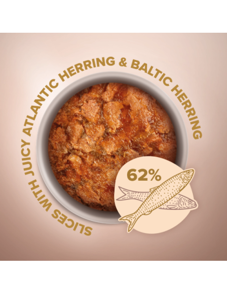 CLUB4PAWS Slices Begrūdžiai Konservai Katėms Su Silke Drebučiuose, 80g