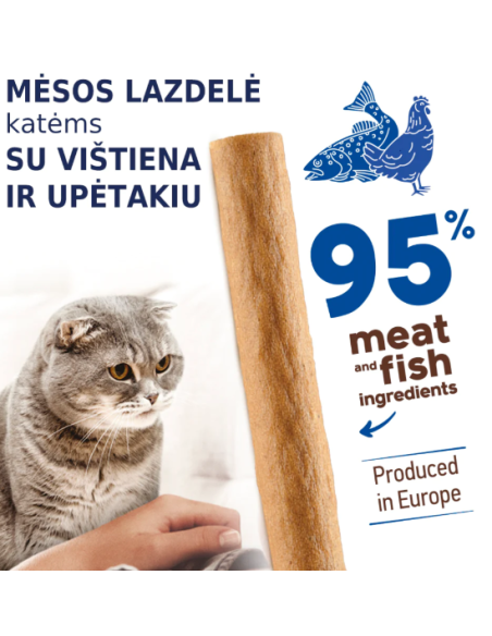 PREMIUM MĖSOS LAZDELĖ SU VIŠTIENA IR UPĖTAKIU, 5g