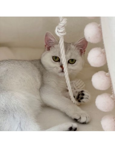 katės žaislas-kamuoliukas (rankų darbo)