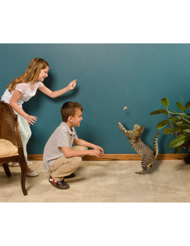 Cat dancer žaislas katėms