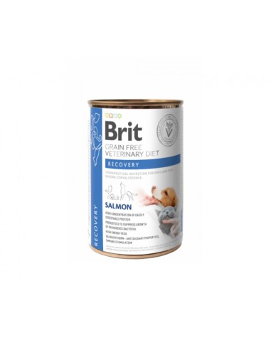 Brit GF Veterinary Diets konservai šunims ir katėms Recovery, 400g