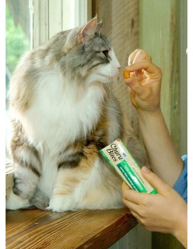 Churu Bites Cat skanėstas katėms su tunu ir vištiena, 3x10g