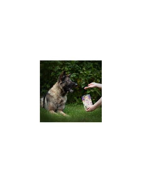 Carnilove Dog skanėstas Quail with Oregano, 200g