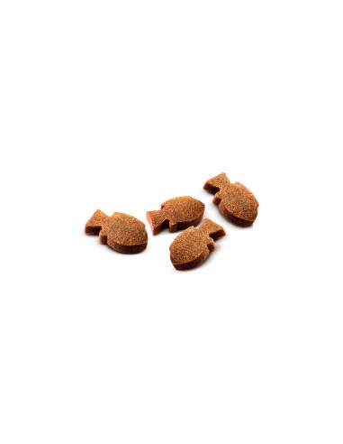 Carnilove Dog skanėstas Carp with...