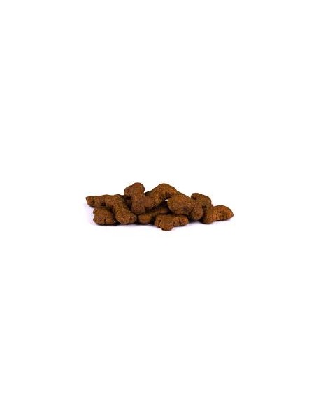 Carnilove Dog skanėstas Wild boar with Rosehips with fresh meat, 200g