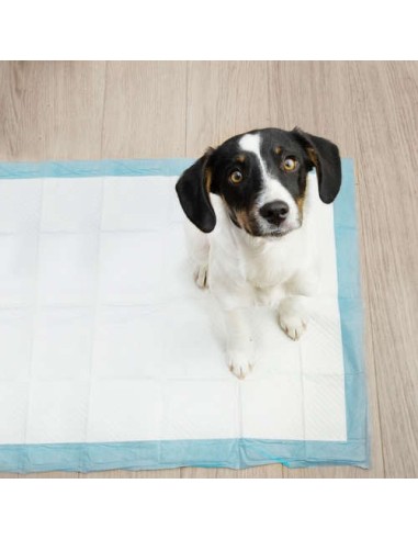 Purlov palutės šunims ir katėms, mažos (45x60), 50vnt.