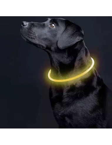 Šviečiantis antkaklis PURLOV, iki 70 cm (karpomas, pakraunamas)