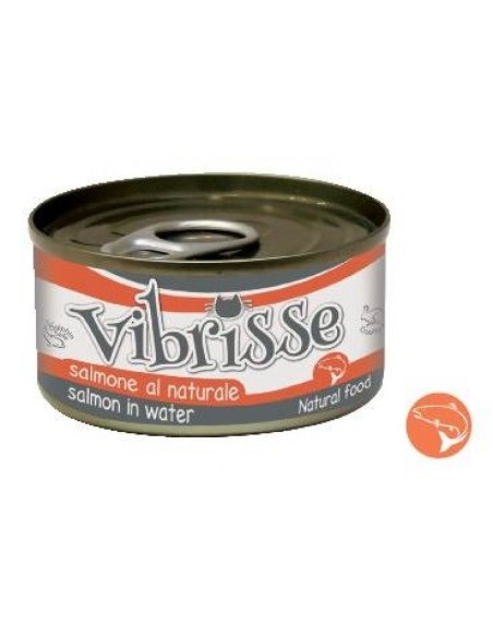 VIBRISSE konservai katėms. 