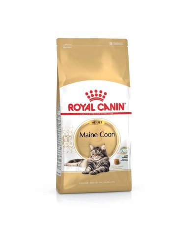 Royal Canin Maine Coon Adult sausas maistas katėms