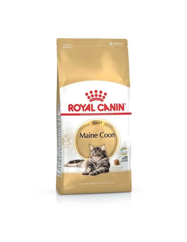 Royal Canin Maine Coon Adult sausas maistas katėms