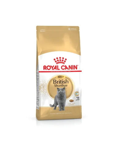 Royal Canin British Shorthair Adult sausas maistas katėms