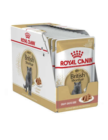 Royal Canin British Shorthair konservai padaže