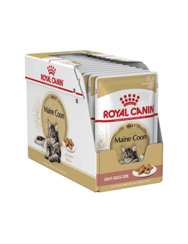 Royal Canin Maine Coon konservai padaže