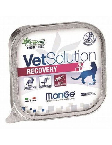 MONGE VetSolution Recovery konservai katėms, 100g