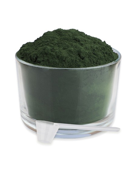 ReaVET spirulinos milteliai šunims ir katėms, 250g
