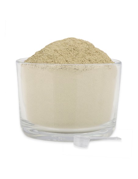 ReaVET MagenMild milteliai katėms, 50g