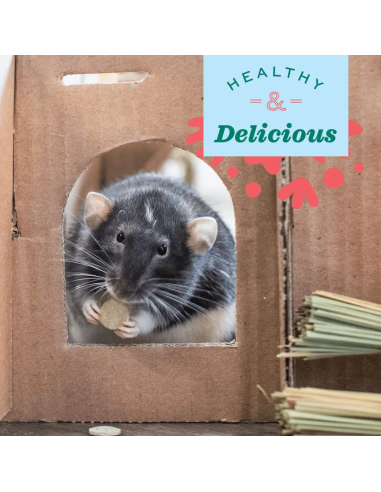 Oxbow Natural Science - Papaya Support maisto papildas