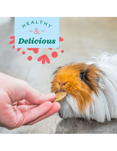 Oxbow Natural Science - Urinary Support maisto papildas