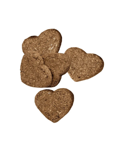 Oxbow Simple Rewards - kepti skanėstai graužikams su morkomis