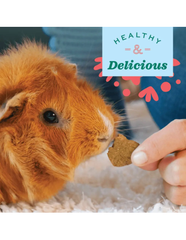 Oxbow Simple Rewards - kepti skanėstai graužikams su obuoliais