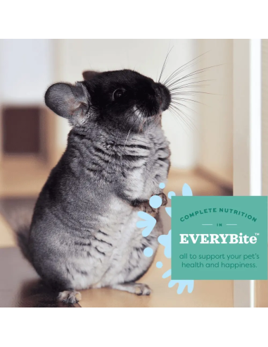 Oxbow Essentials Chinchilla visavertis maistas šinšiloms