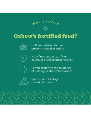 Oxbow Essentials Chinchilla visavertis maistas šinšiloms