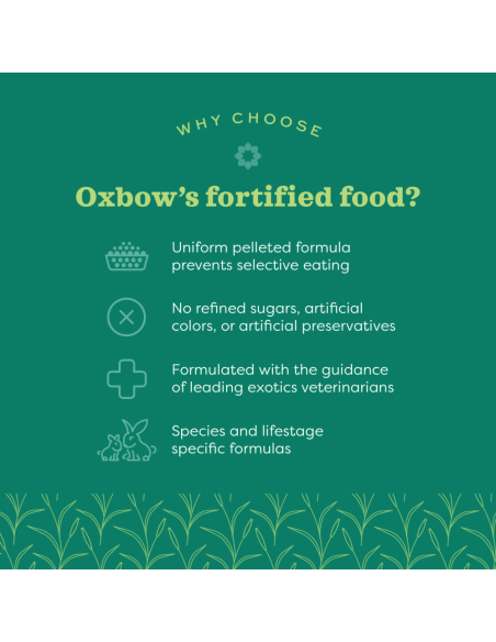 Oxbow Essentials Chinchilla visavertis maistas šinšiloms