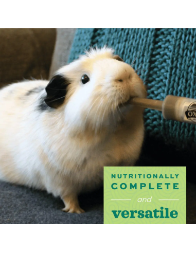 Oxbow Critical Care Herbivore Apple-Banana kritinės pagalbos