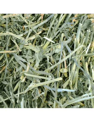 OXBOW Liucernos šienas graužikams