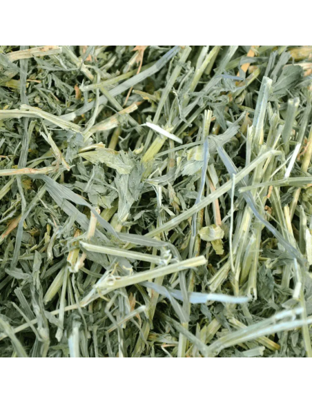 OXBOW Liucernos šienas graužikams