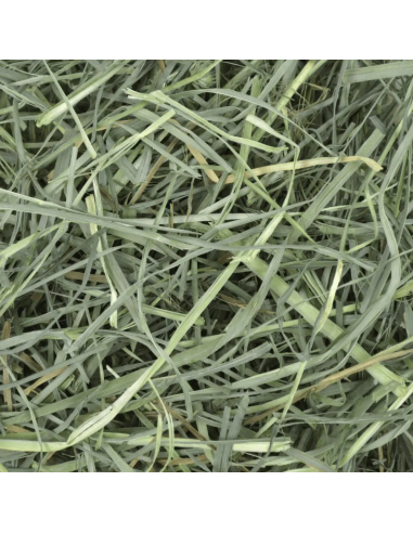 OXBOW Sodo žolės šienas graužikams