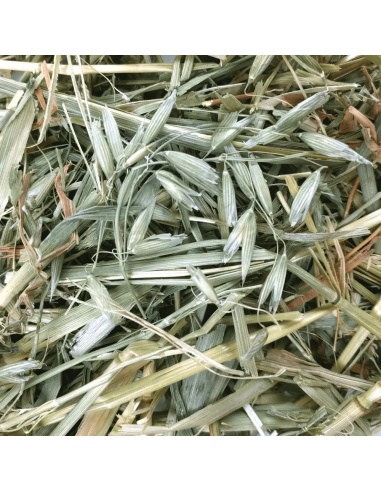 OXBOW Avižų šienas graužikams, 425g