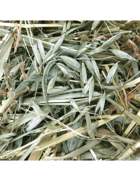 OXBOW Avižų šienas graužikams, 425g