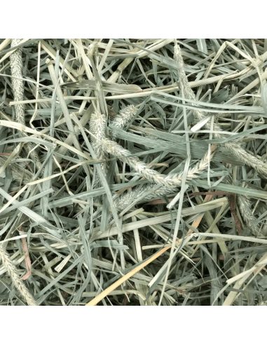 OXBOW Vakarų Motiejuko ir Sodo žolės šieno mišinys graužikams