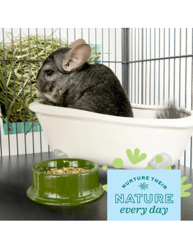 Oxbow POOF! Chinchilla Dust Bath...