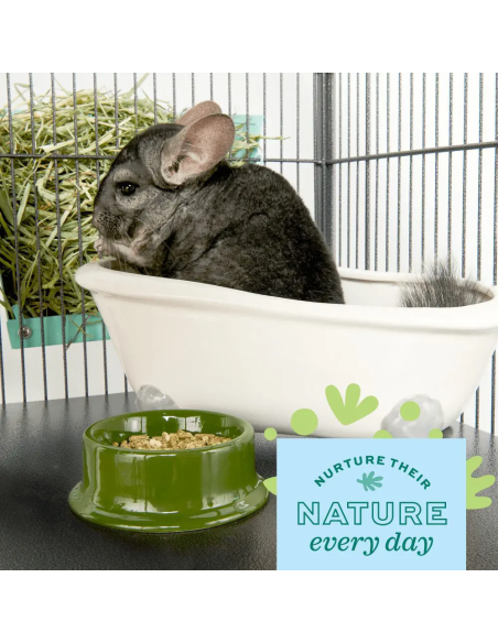 Oxbow POOF! Chinchilla Dust Bath šinšilų prausimosi dulkės, 1,13kg