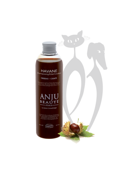 ANJU HAVANE, rudą ir šokoladinę spalvą ryškinantis šampūnas