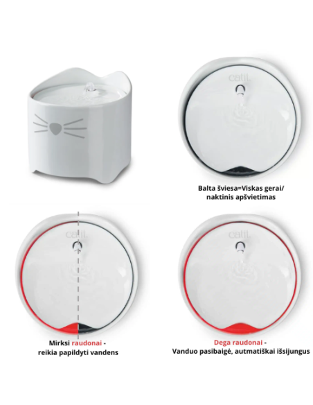 Kačių fontanėlis | fontanas katėms su nerūdijančio plieno viršumi