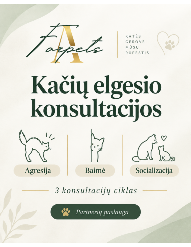 Kačių elgesio konsultacijos: Agresija, baimė ir socializacija (3 kons. ciklas)